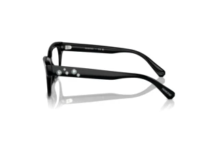 Side view Swarovski SK2022 (1001)