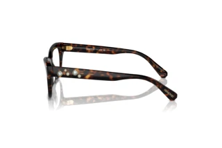 Side view Swarovski SK2022 (1002)