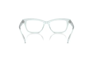 Rear view Swarovski SK2022 (1024)