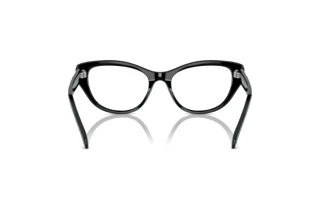 Rear view Swarovski SK2023 (1001)