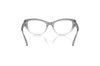 Rear view Swarovski SK2023 (1046)