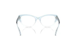 Rear view Swarovski SK2023 (1047)