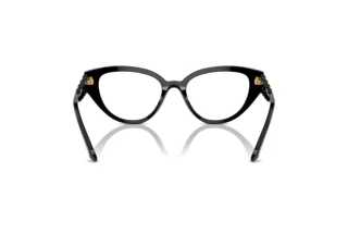 Rear view Swarovski SK2024 (1001)