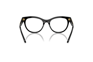 Rear view Swarovski SK2025 (1001)