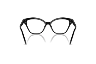 Rear view Swarovski SK2029 (1001)