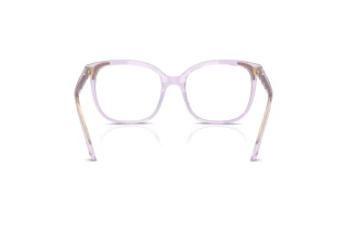 Rear view Swarovski SK2033 (1079)
