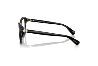 Side view Swarovski SK2042U (1001)
