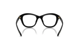 Rear view Swarovski SK2042U (1001)