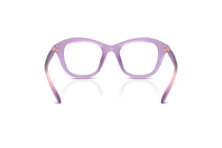 Rear view Swarovski SK2042U (1075)