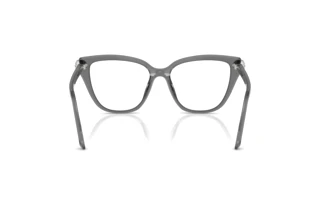 Rear view Swarovski SK2045 (1072)