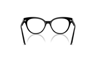 Rear view Swarovski SK2046 (1001)
