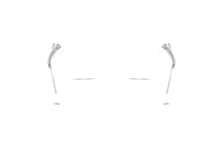 Rear view Swarovski SK2046 (1027)