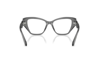 Rear view Swarovski SK2050U (1072)