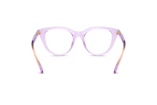 Rear view Swarovski SK2052 (1079)