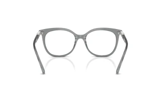 Rear view Swarovski SK2055 (1062)
