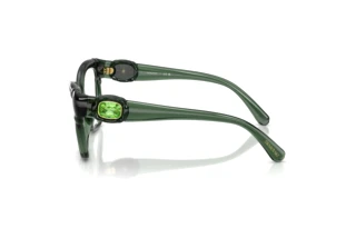 Side view Swarovski SK2056U (1043)