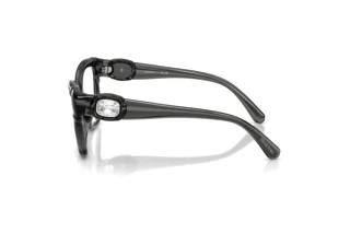 Side view Swarovski SK2056U (1087)