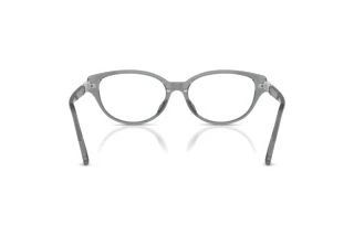 Rear view Swarovski SK2058D (1062)
