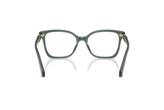 Rear view Swarovski SK2061 (1043)