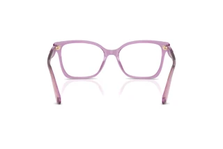 Rear view Swarovski SK2061 (1096)