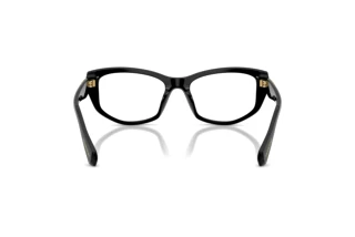 Rear view Swarovski SK2062U (1001)