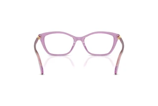 Rear view Swarovski SK2065 (1096)