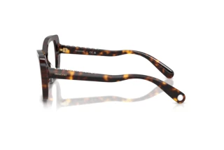 Side view Swarovski SK2066U (1002)