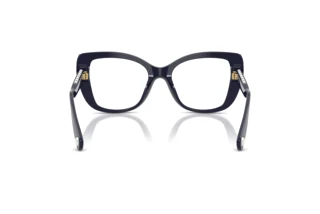 Rear view Swarovski SK2066U (1099)