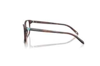 Side view Tiffany TF2097 (8421)