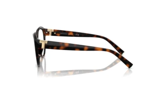 Side view Tiffany TF2255U (8015)