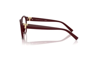 Side view Tiffany TF2255U (8389)