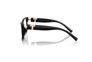 Side view Tiffany TF2272U (8001)