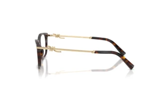Side view Tiffany TF2281 (8015)