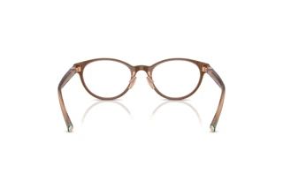 Rear view Tiffany TF2306D (8255)