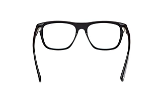 Rear view Tom Ford FT5902-B (001)