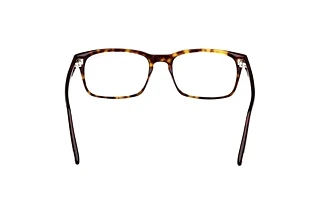 Rear view Tom Ford FT5938-B (052)