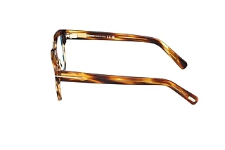 Side view Tom Ford FT5977-B (050)