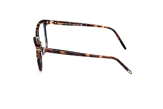 Side view Tom Ford FT5989-B (052)