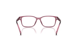 Rear view Tory Burch TY2151U (3179)