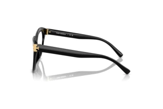 Side view Tory Burch TY2154U (1709)