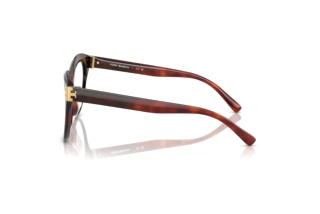 Side view Tory Burch TY2154U (2011)