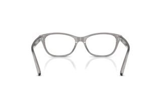 Rear view Tory Burch TY2172D (1953)