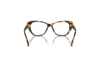 Rear view Versace Kids VK3005U (5119)
