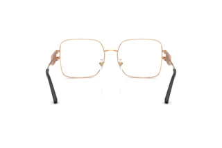 Rear view Versace VE1303D (1412)