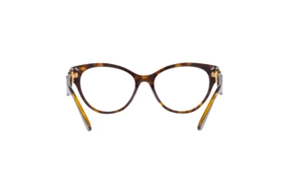 Rear view Versace VE3313 (108)