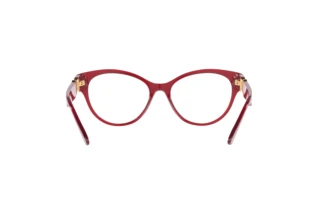 Rear view Versace VE3313 (388)
