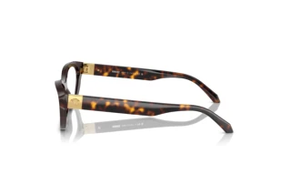 Side view Versace VE3356 (108)