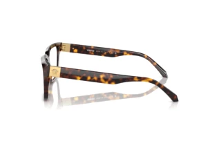 Side view Versace VE3357 (108)