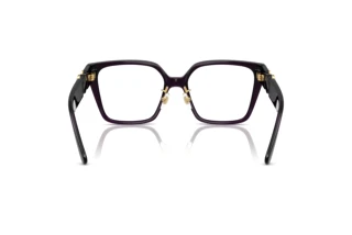 Rear view Versace VE3371D (5263)