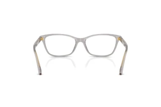 Rear view Versace VE3375 (593)